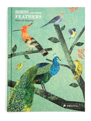 Birds And Their Feathers