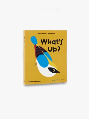 What's Up?